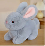 Plush Bunny