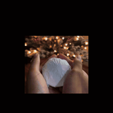 Christmas Memory Orb Ornament