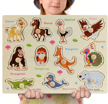 Colorful Wooden Puzzle