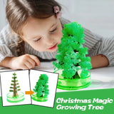 Magic Crystal Tree Kit