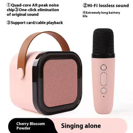 Portable Karaoke Set