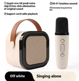 Portable Karaoke Set