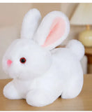 Plush Bunny