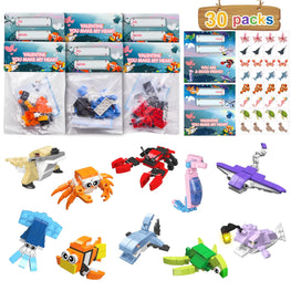 30 Pack Valentines Day Gifts
