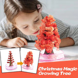 Magic Crystal Tree Kit