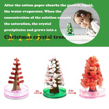 Magic Crystal Tree Kit