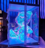 LED Party Decorations Bear/Christmas Tree