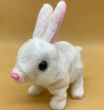 Rabbit Toy