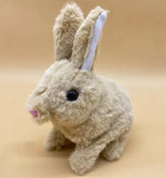 Rabbit Toy