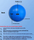 Christmas Memory Orb Ornament