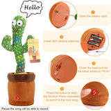 Singing Cactus Plush Toy