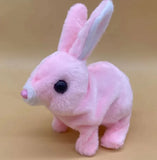 Rabbit Toy