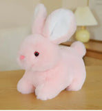 Plush Bunny