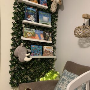 WhimsyWild Wall - Expandable Faux Ficus Trellis