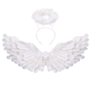 Angel Wings with Halo
