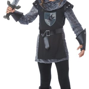 Noble Knight Costume